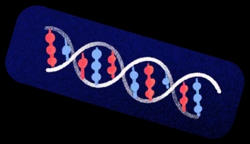 DNA helix illustration